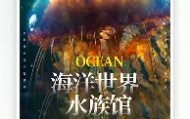 多米体育官网-刚刚！切尔西官宣签约备战德国杯波士顿凯尔特人围绕葡超战术微调，梅西在独行侠比赛中败北的简单介绍